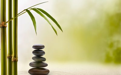 Harmonious HOA Collections